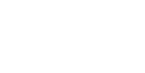 DELINEO Logo